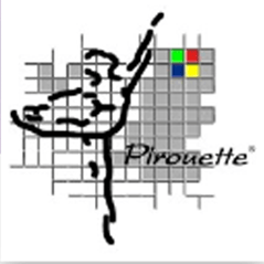 Pirouette 4.5